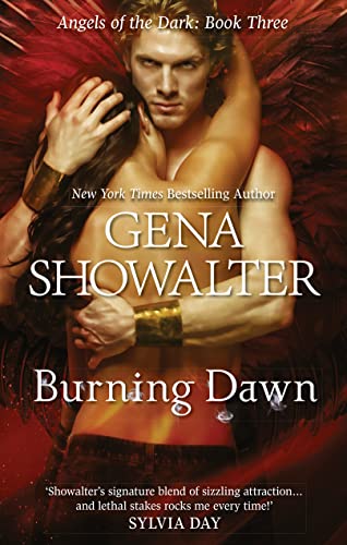 9781848453067: Burning Dawn (Angels of the Dark, Book 3)