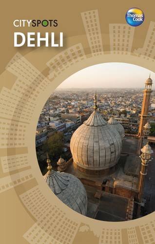 Stock image for Delhi (CitySpots) for sale by Pearlydewdrops