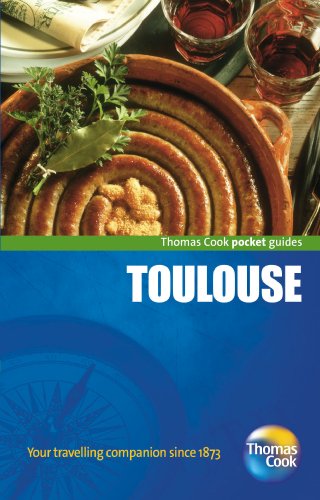 Stock image for Toulouse (CitySpots) for sale by Hippo Books