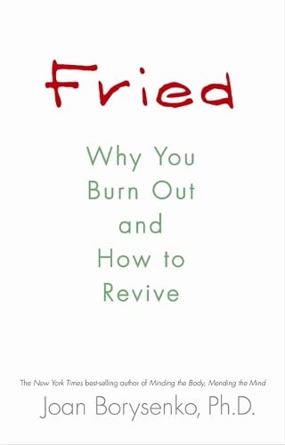 Beispielbild fr Fried: Why You Burn Out and How to Revive zum Verkauf von WorldofBooks