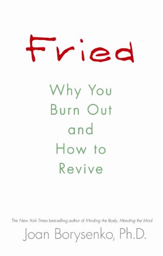 9781848503038: Fried: Why You Burn Out and How to Revive