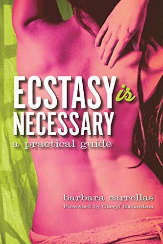 9781848504561: Ecstasy is Necessary: A Practical Guide