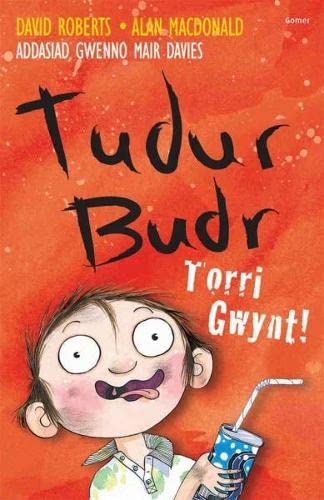 Stock image for Tudur Budr: Torri Gwynt! for sale by WorldofBooks