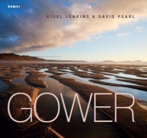 Stock image for Gower for sale by ThriftBooks-Dallas
