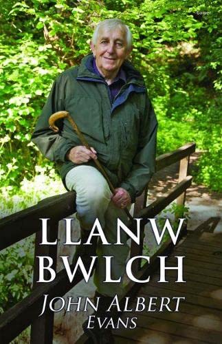 Beispielbild fr Llanw Bwlch zum Verkauf von Goldstone Books