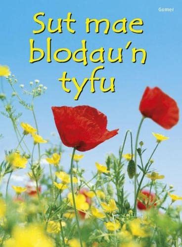 Stock image for Cyfres Dechrau Da: Sut Mae Blodau'n Tyfu? for sale by WorldofBooks