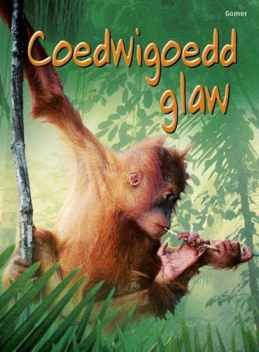 Stock image for Cyfres Dechrau Da: Coedwigoedd Glaw for sale by WorldofBooks