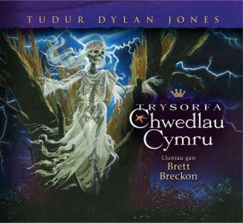 9781848513044: Trysorfa Chwedlau Cymru