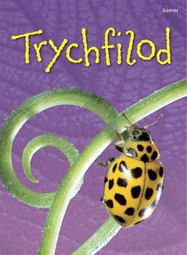 Stock image for Trychfilod (Cyfres Dechrau Da) for sale by WorldofBooks
