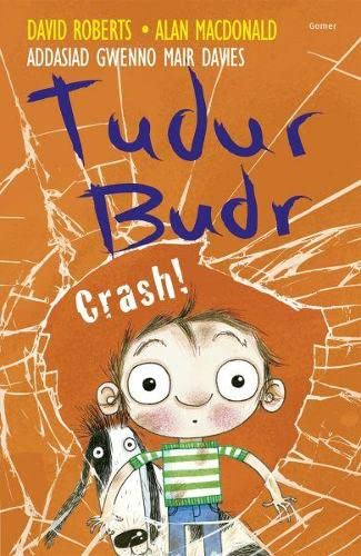 9781848519961: Tudur Budr: Crash!