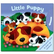 9781848528581: Little Puppy Push, Pull & Pop-up