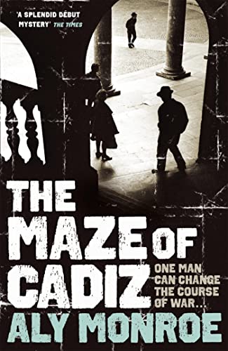 9781848540323: The Maze of Cadiz (Peter Cotton)