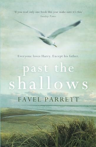 Beispielbild fr Past the Shallows zum Verkauf von WorldofBooks