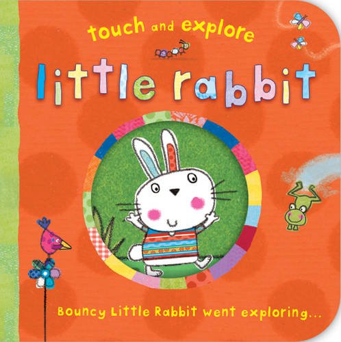 Beispielbild fr Little Rabbit (Touch & Explore) (Touch and Explore) zum Verkauf von WorldofBooks