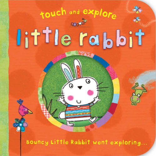 Imagen de archivo de Little Rabbit (Touch & Explore) (Touch and Explore) a la venta por WorldofBooks