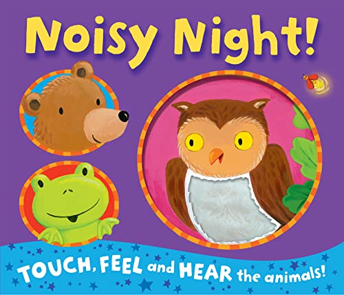 9781848572416: Noisy Night! (Noisy Touch-and-Feel Books)