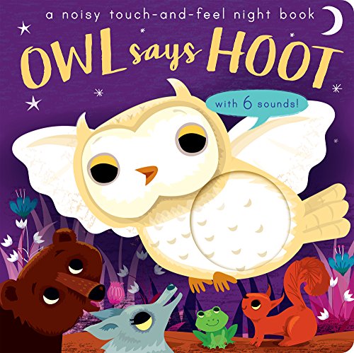 Beispielbild fr Noisy Touch-and-Feel Books Owl Says Hoot A noisy touch-and-feel night book zum Verkauf von WorldofBooks