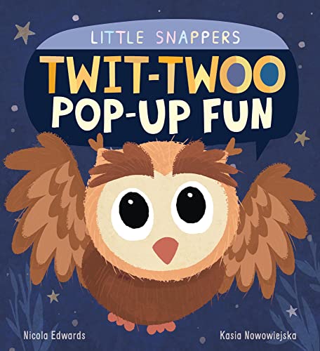 9781848576506: Twit-twoo Pop-up Fun