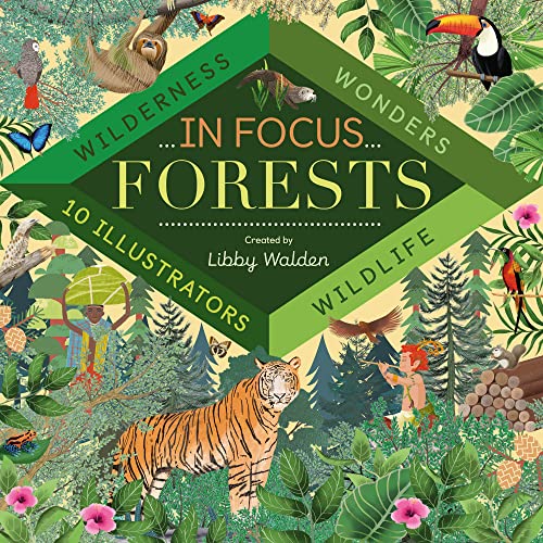 Stock image for In Focus: Forests for sale by AwesomeBooks