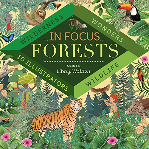 9781848578074: In Focus: Forests