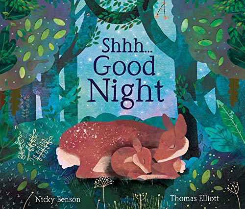 Stock image for Shhh.Good Night for sale by WorldofBooks