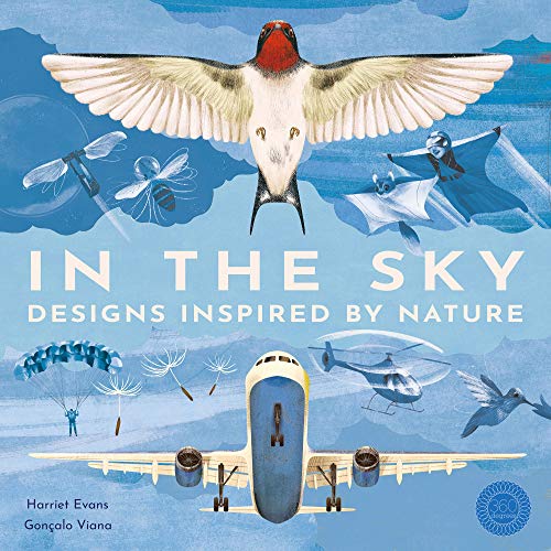 Beispielbild fr In the Sky: Designs inspired by nature zum Verkauf von WorldofBooks