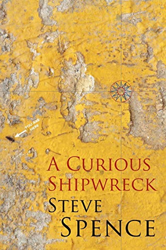 9781848610972: A Curious Shipwreck