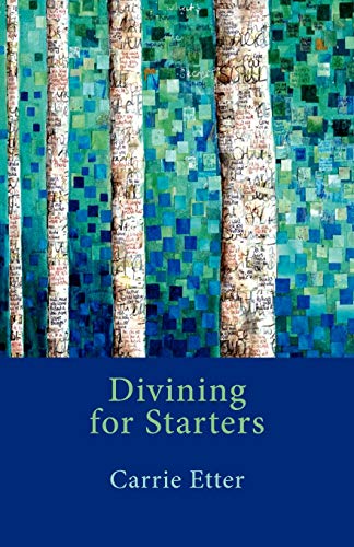 Stock image for Divining for Starters for sale by WorldofBooks