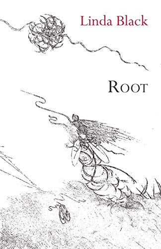 Root (9781848611702) by Black, Linda