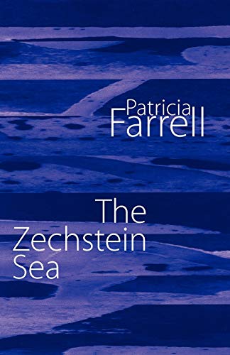 Stock image for The Zechstein Sea for sale by Lucky's Textbooks