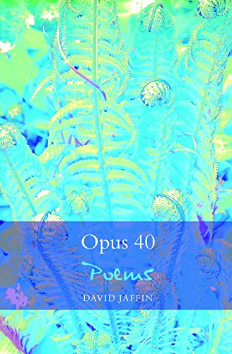 Beispielbild fr Opus 40 zum Verkauf von Bookmans