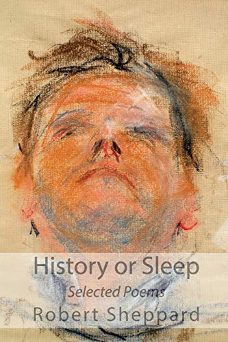 Stock image for History or Sleep - Selected Poems for sale by WorldofBooks