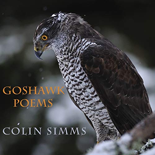 Stock image for Goshawk Poems for sale by PBShop.store US