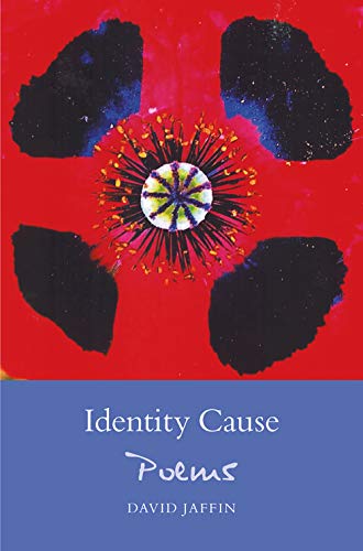 Beispielbild fr Identity Cause : Poems zum Verkauf von Better World Books