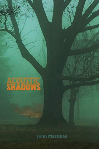 Beispielbild fr Acoustic Shadows zum Verkauf von Better World Books