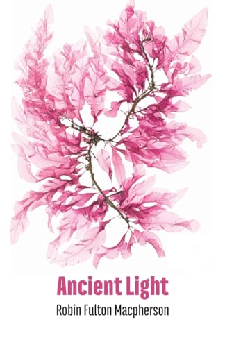 Imagen de archivo de Ancient Light a la venta por WorldofBooks