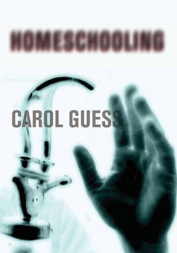 Stock image for Homeschooling [hc] for sale by Reader's Corner, Inc.