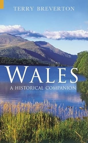 Imagen de archivo de Wales A Historical Companion a la venta por WorldofBooks