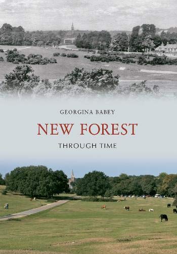Stock image for New Forest Through Time for sale by PBShop.store US