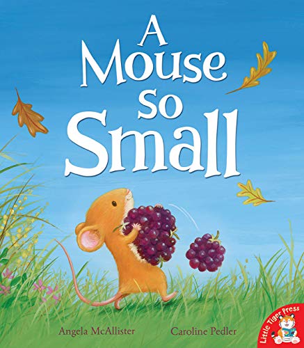 Beispielbild fr A Mouse So Small zum Verkauf von AwesomeBooks