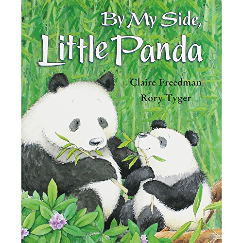Stock image for By My Side Little Panda for sale by Harry Righton