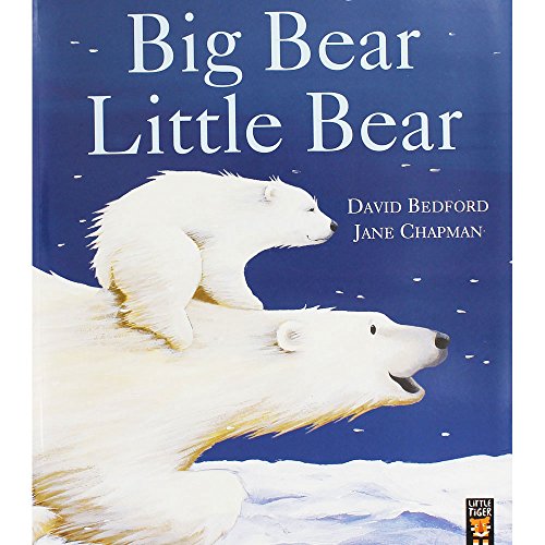 Beispielbild fr Big Bear Little Bear zum Verkauf von AwesomeBooks