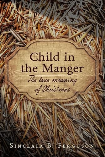 9781848716551: Child in the Manger