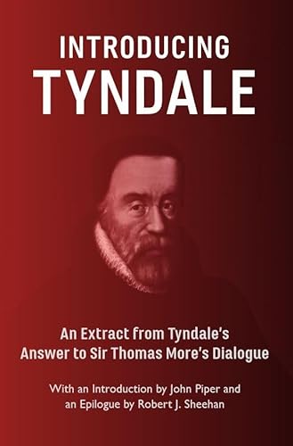 Stock image for Introducing Tyndale for sale by Irish Booksellers