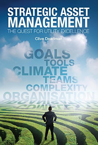 9781848763661: Strategic Asset Management: The quest for utility excellence