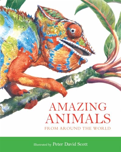 Beispielbild fr Amazing Animals - Hardback zum Verkauf von WorldofBooks