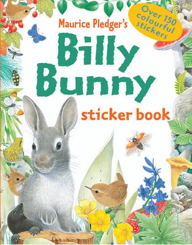 Billy Bunny Sticker Book (9781848770447) by Amanda Wood