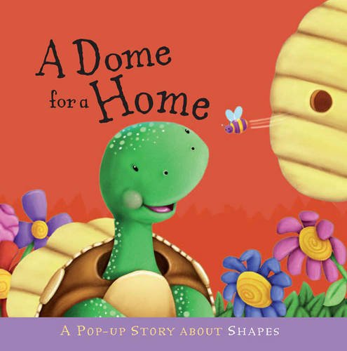 9781848771109: A Dome for a Home.