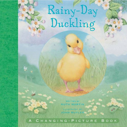 Rainy Day Duckling (9781848774070) by Ruth Martin