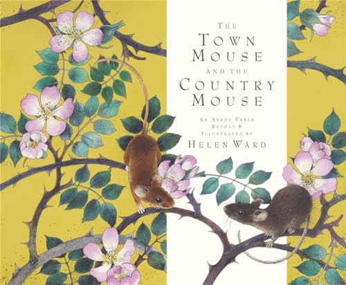 Beispielbild fr Town Mouse and Country Mouse zum Verkauf von WorldofBooks